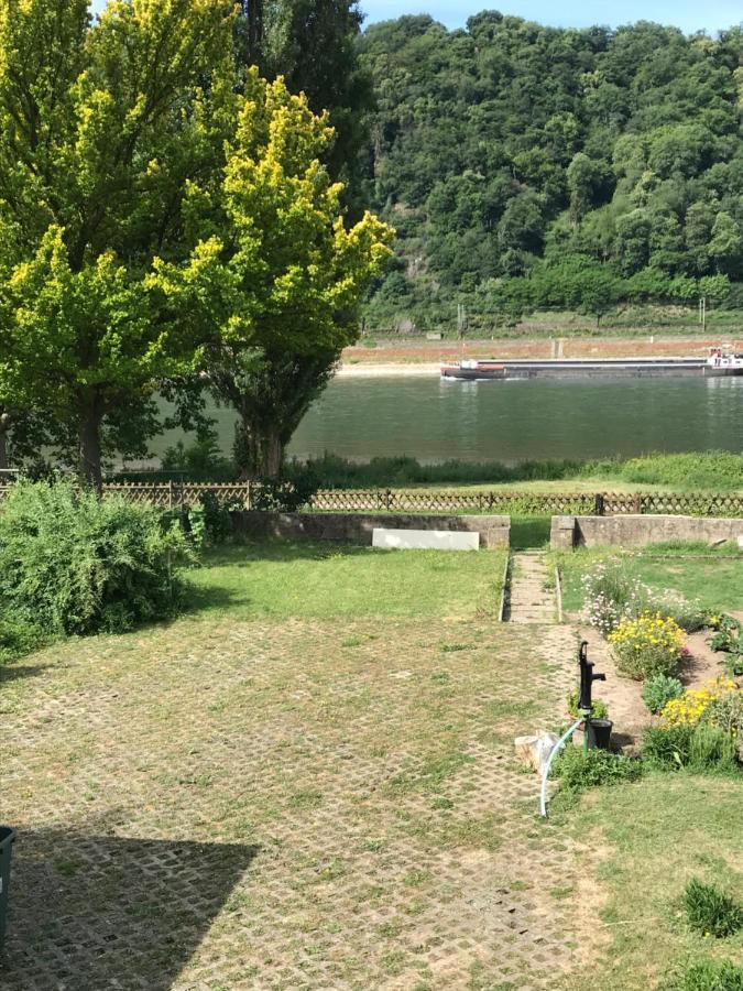 Homestay Rheinblickzimmer